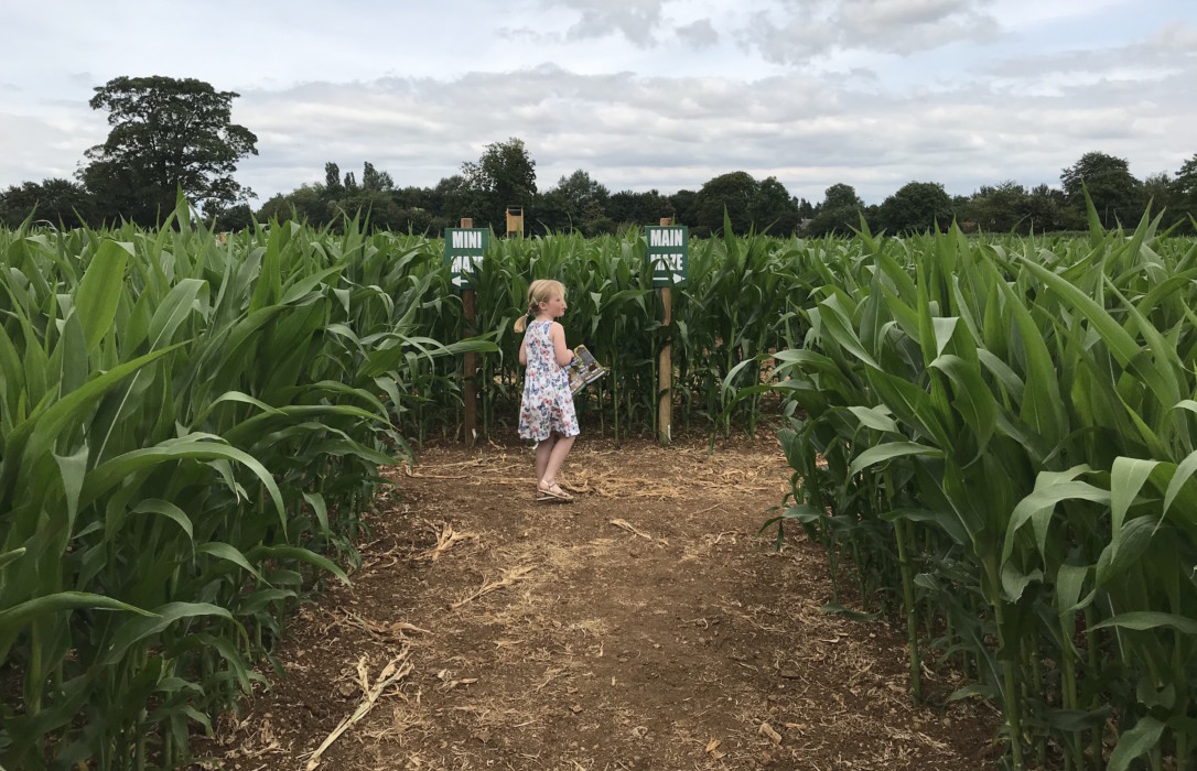 Maze bath sale