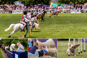 The Royal Bath and West Show