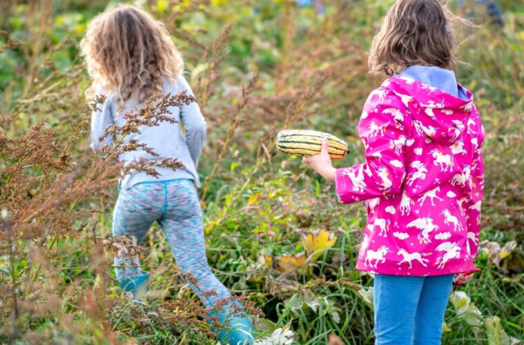 The Community Farm