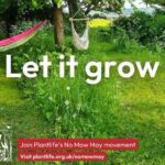 No Mow May