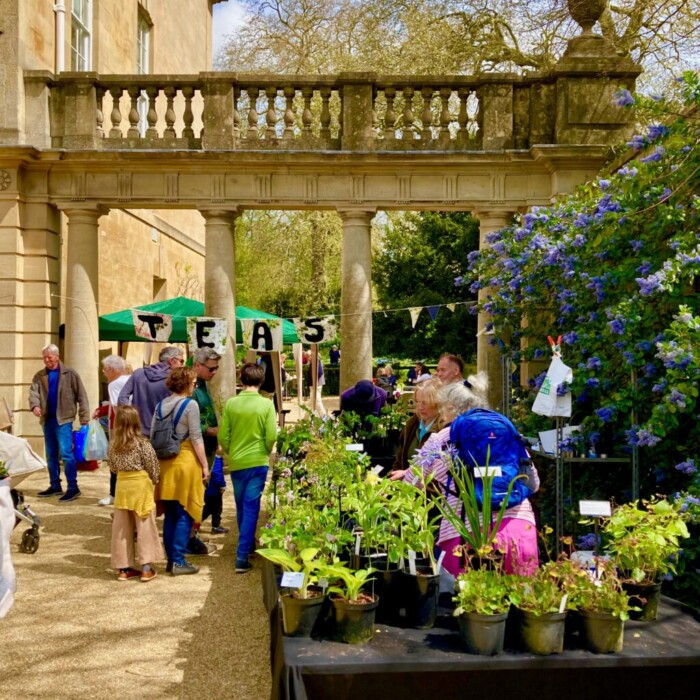 Holburne Plant Sale 1024x1024