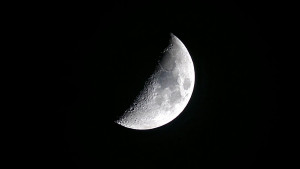First Quarter Moon with Brownies group 300x169