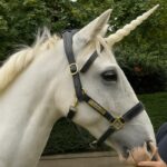 Bath Kids Lit Fest Unicorn