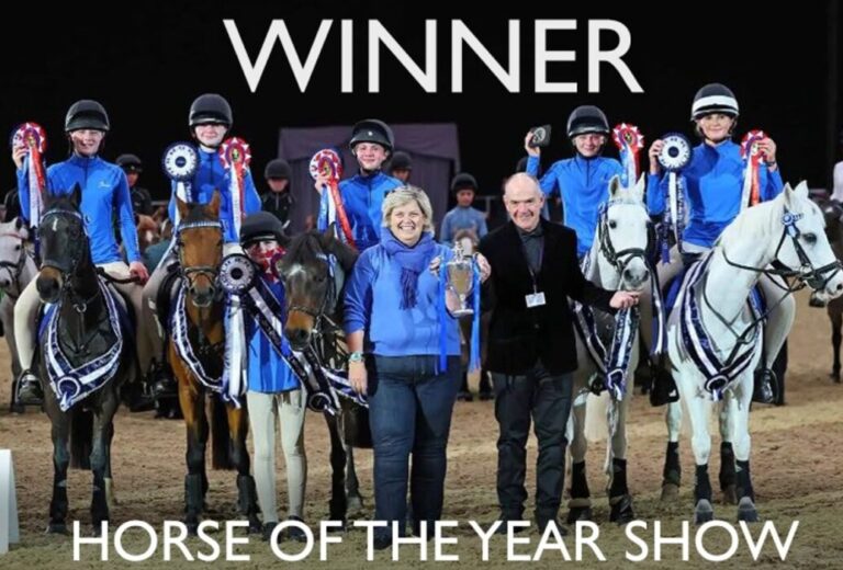 Downside horses