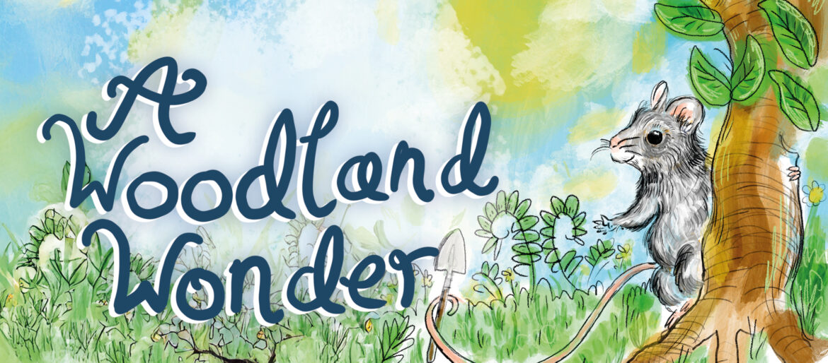 Playtime: a woodland wonder at The Pound