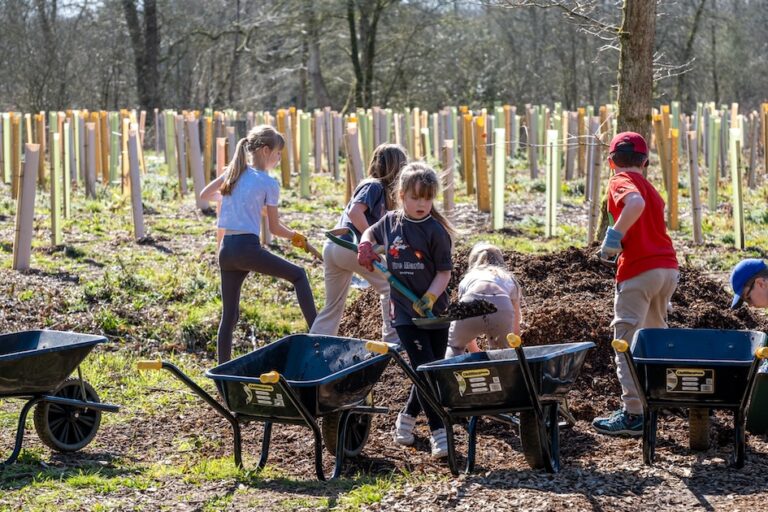 Schoolchildren have helped plant more than 9,000 trees at Westonbirt, shaping a major woodland restoration project and gaining hands-on nature and wellbeing benefits.