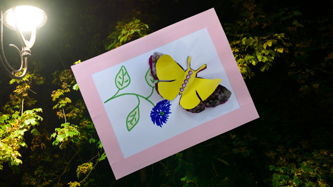 Marvellous Moths and Butterflies at No1 Royal Crescent