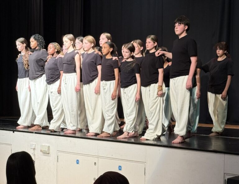 Pupils from Kingsbury Green Academy and local primary schools performed in a sell-out dance show raising funds for Springboard in Chippenham.