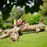 Forest of Imagination returns to Entry Hill, Bath from 13–21 June 2026 with free family workshops, installations and outdoor arts activities.