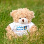 Salisbury Bear Hunt returns for 2026 with 100 hidden teddy bears across the city, helping raise funds for Julia’s House Children’s Hospice.