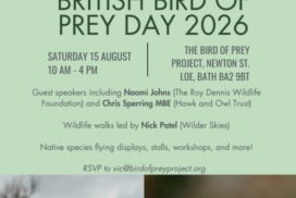 BBOPD 2026 invitation