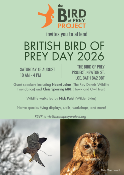 British Bird of Prey Day at Bird of Prey Project
