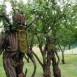 Festival of Nature returns to Bath from 6-14 June with tree stilt walkers, free tree saplings, family activities and more than 180 free events across the region.