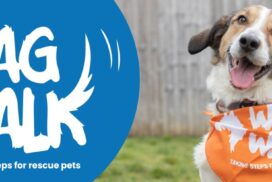Wag Walk image