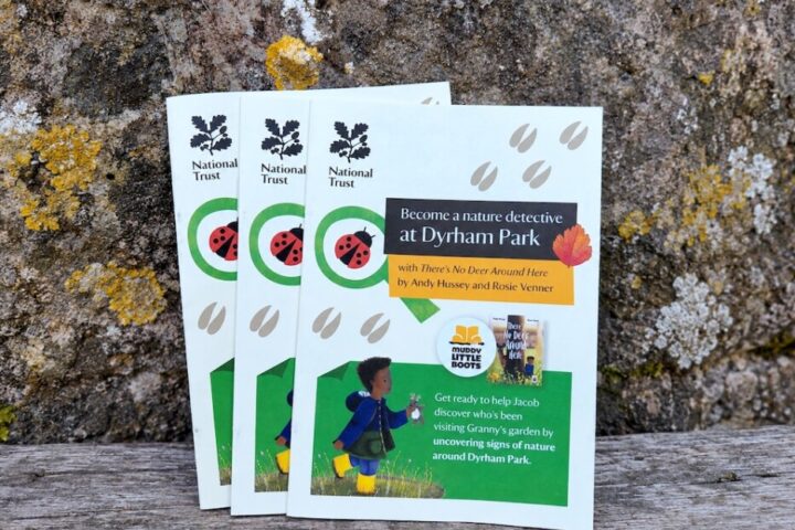 Families can become nature detectives at Dyrham Park with a children's autumn wildlife trail running until 1 November. £2 per booklet, plus admission. Copy